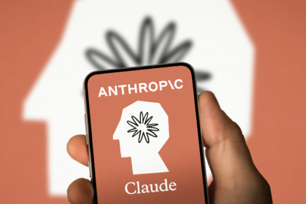 Anthropic, Claude access
