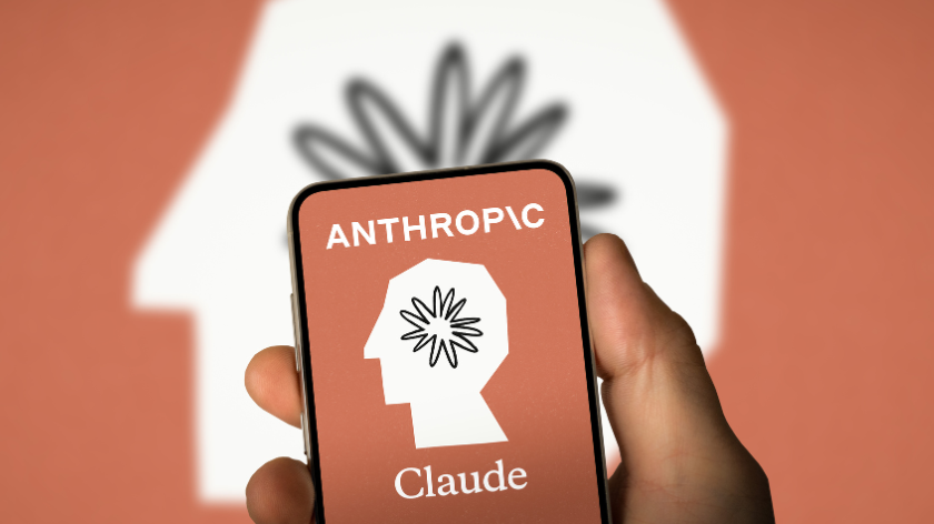 Anthropic, Claude access