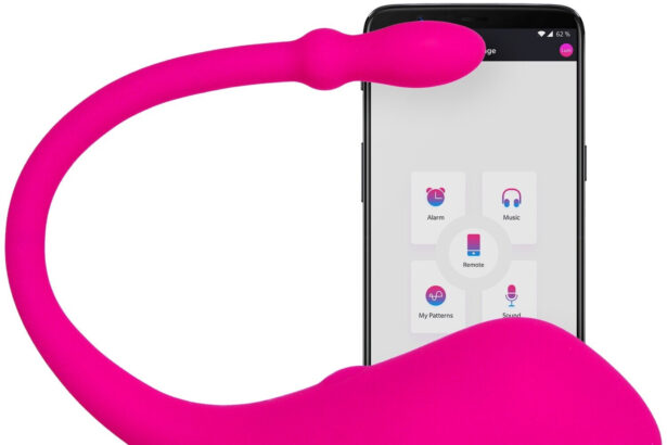 Lovense, Lovenes sex toy