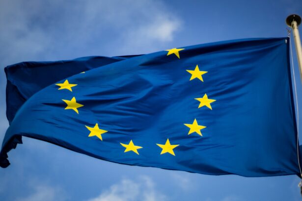E.U flag